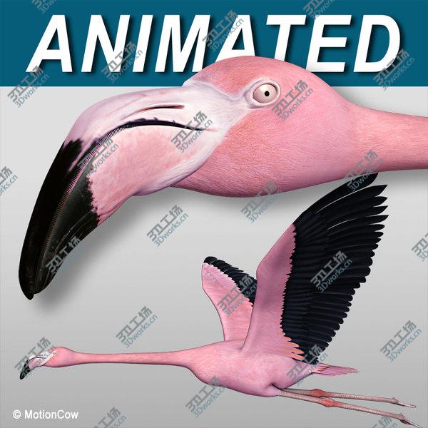 images/goods_img/20210312/Flamingo Pink - Flying/1.jpg